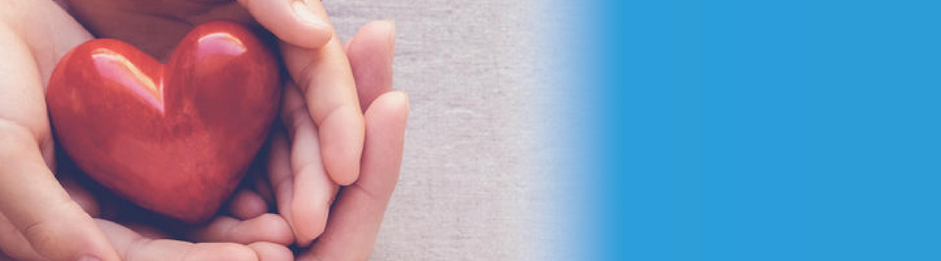 Our Services_mobile banner_2026